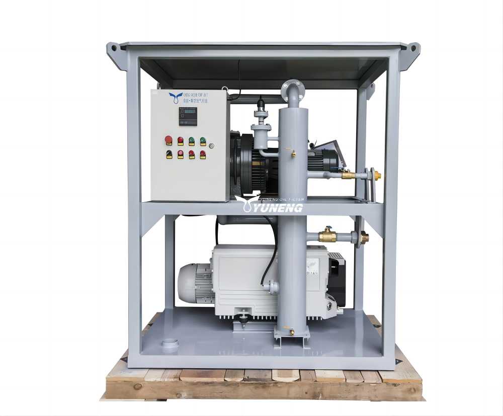 Transformer vacuum pumping system